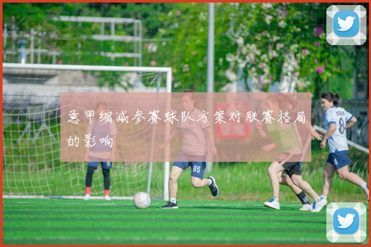 意甲缩减参赛球队方案对联赛格局的影响