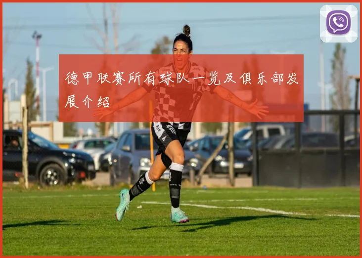 德甲联赛所有球队一览及俱乐部发展介绍