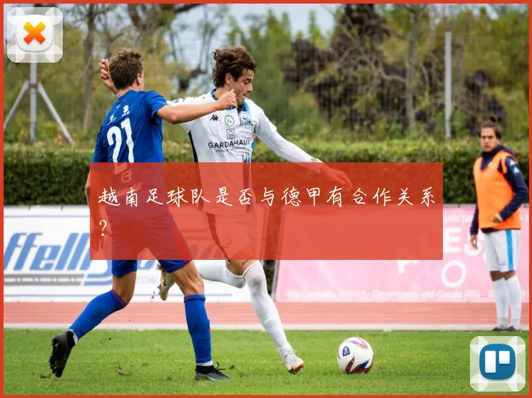 越南足球队是否与德甲有合作关系？
